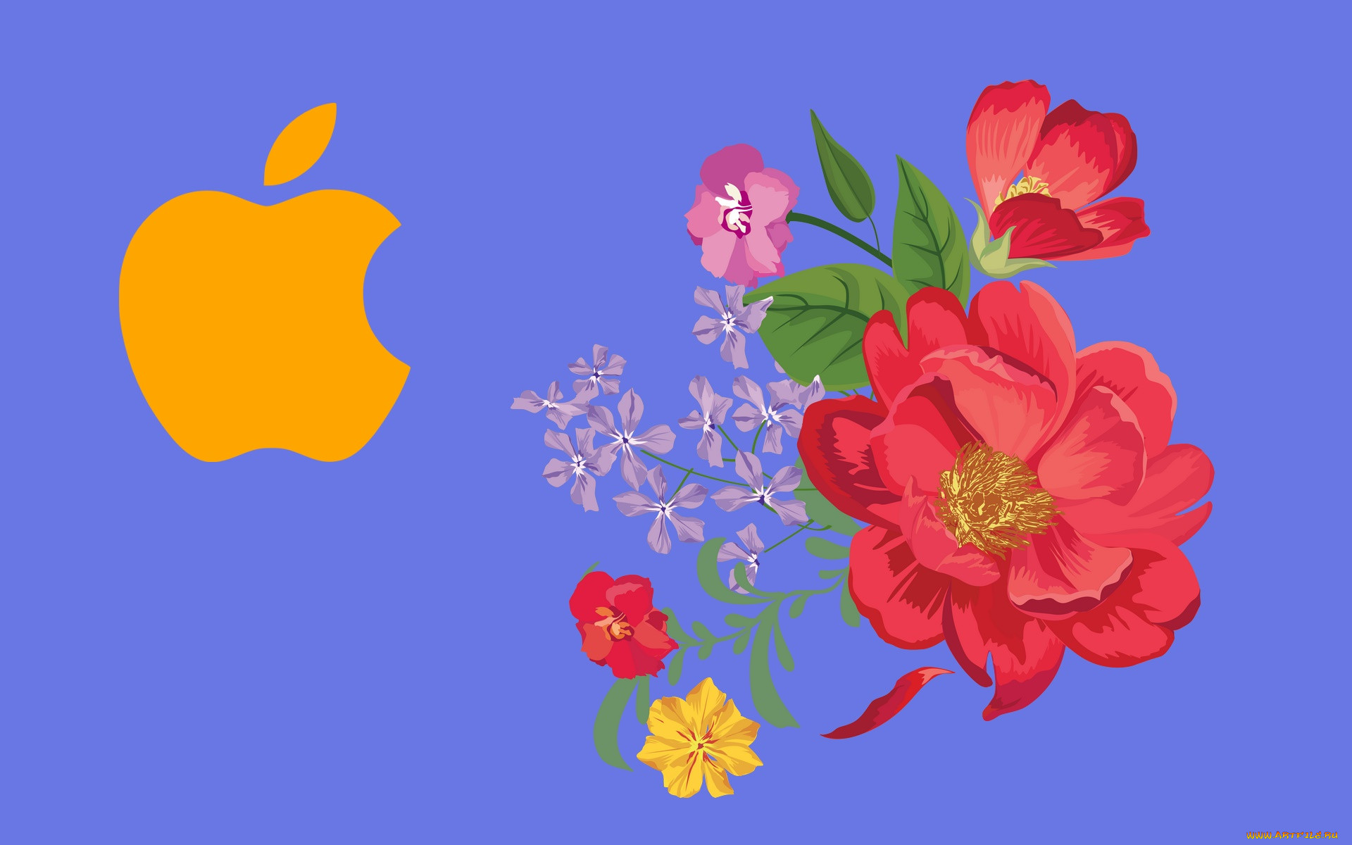 , apple, , 